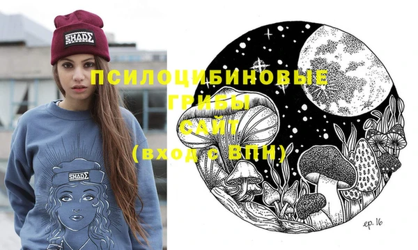 индика Аркадак