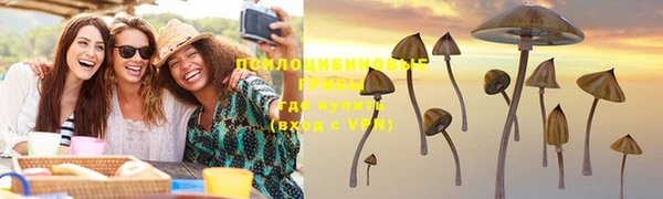 синтетический гашиш Арсеньев