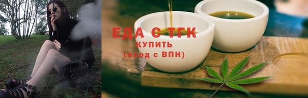 индика Аркадак