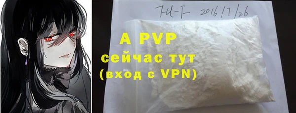 индика Аркадак