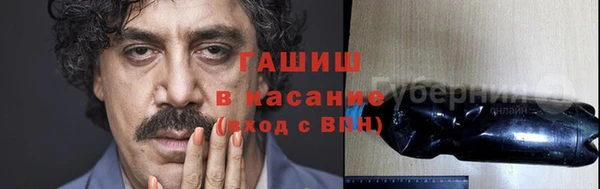 индика Аркадак