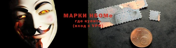 индика Аркадак