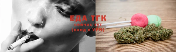 индика Аркадак