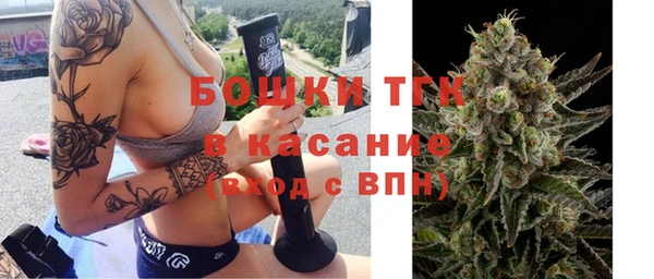 индика Аркадак