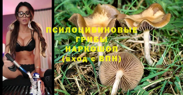 спиды Армянск