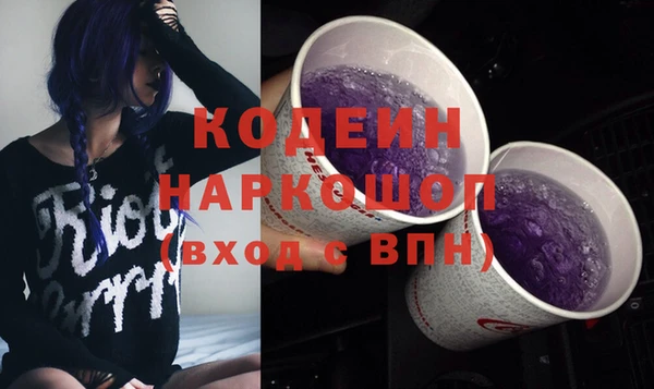 индика Аркадак