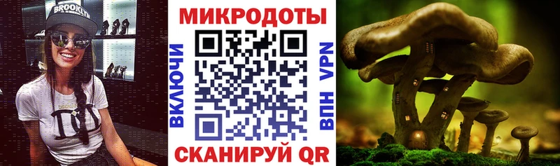 Псилоцибиновые грибы Magic Shrooms  Урюпинск 